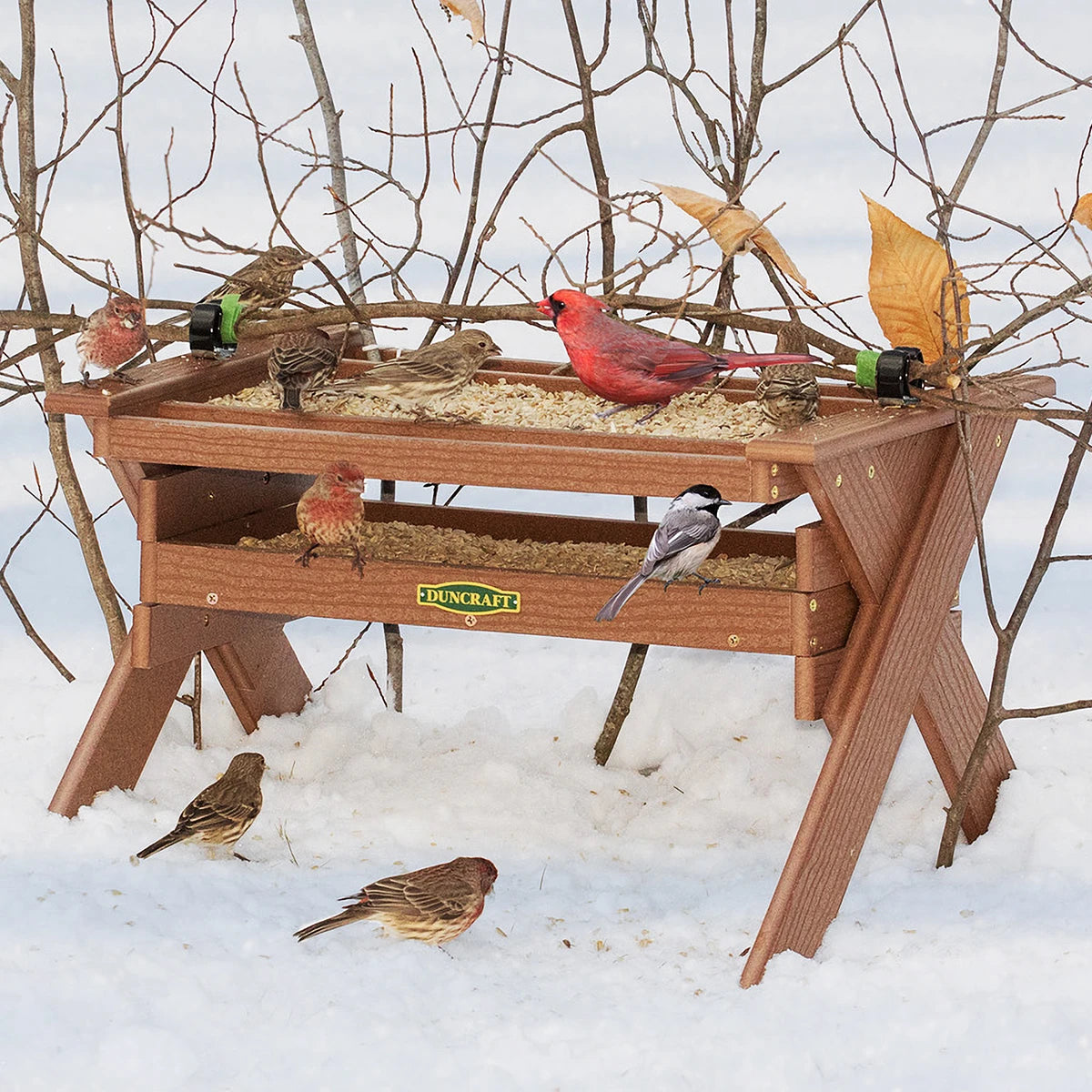 Duncraft Safe Haven Wonderland Feeder in snowy yard, attracting small songbirds like a Northern Cardinal and finches, utilizing dual seed trays with sheltered design.