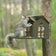 Metal Squirrel Feeder with squirrel lifting roof to access food, featuring a built-in porch area, post-mount, and rear-mount options.