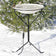Heated Bird Bath with Metal Stand, shown in snow with birds drinking and bathing. Features a 20-inch diameter basin, non-slip surface, and built-in thermostat for winter use.