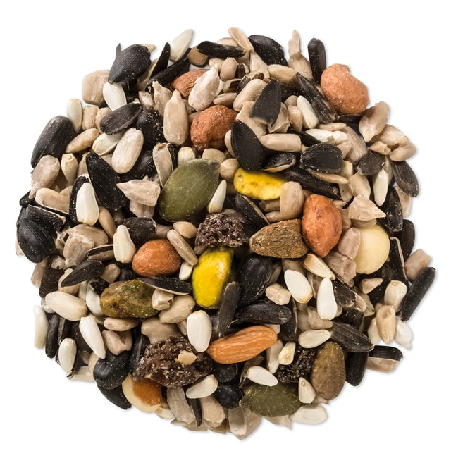 Wild Delight Nut N' Berry Wild Bird Seed, 5-lb bag, featuring a premium mix of real fruit and nuts, ideal for attracting cardinals and woodpeckers.