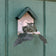 Duncraft Original Hummingbird Nester on wall with two baby hummingbirds in the nest, featuring a landing branch and secure metal posts for nest stability.