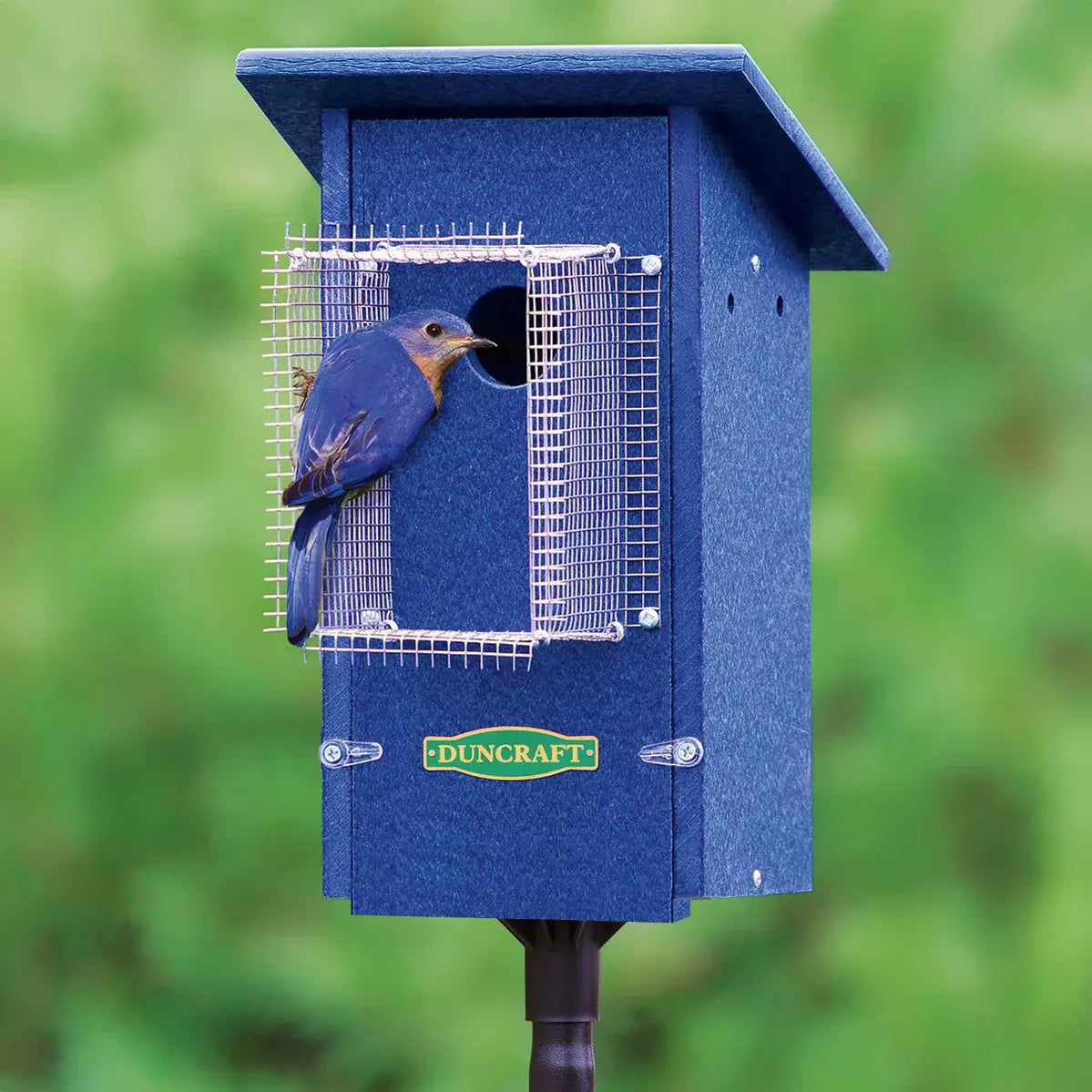 Bird Houses