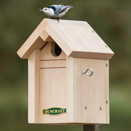 produncrafthype.common Bird Pine Nesting House with a bird perched on its roof, featuring an overhanging roof, recessed entrance, and side hook for easy cleaning.