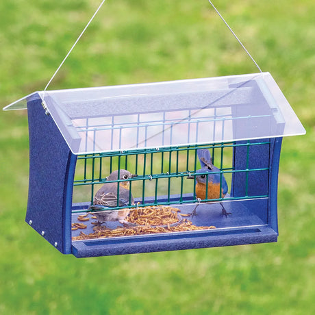 Duncraft Blocker Bluebird Feeder with mealworms, featuring two songbirds feeding. Includes wire grid to deter larger birds and a protective clear roof.