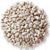 Duncraft Safflower Wild Bird Seed, 5-lb bag, featuring a pile of white seeds known for attracting birds while deterring squirrels.