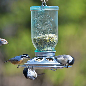 Mason Jar Wild Bird Feeder with songbirds on perches, featuring an upside-down glass jar and metal tray with multiple feeding ports.