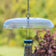 Duncraft Tilt-Top Squirrel Baffle, 16-inch clear plastic disc with S-hook, designed to tilt and safely slide squirrels off tube feeders.