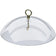 Clear Weather Dome with brass hanger and hook, designed to shield nectar feeders from rain and snow, featuring a sturdy, see-through plastic cover for easy bird viewing.