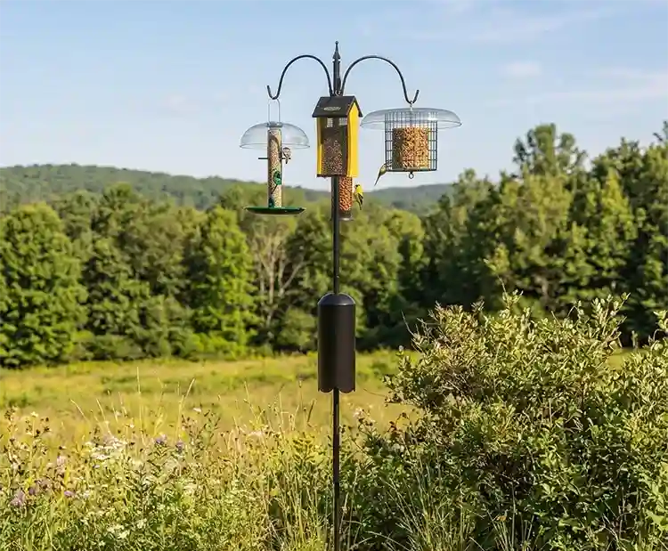 Squirrel-Proof Super Tall Quad Hanger featuring a three-arm pole with squirrel baffle, set in a grassy outdoor area, holds multiple bird feeders.