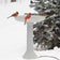 All Seasons Scalloped Bath in snow-covered yard with birds; features heated, stone-like design and scalloped edges on fluted pedestal beside an evergreen.