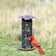 Petite Copper Sunflower Feeder with red bird perched, showcasing wire mesh openings and drainage tray for small birds.