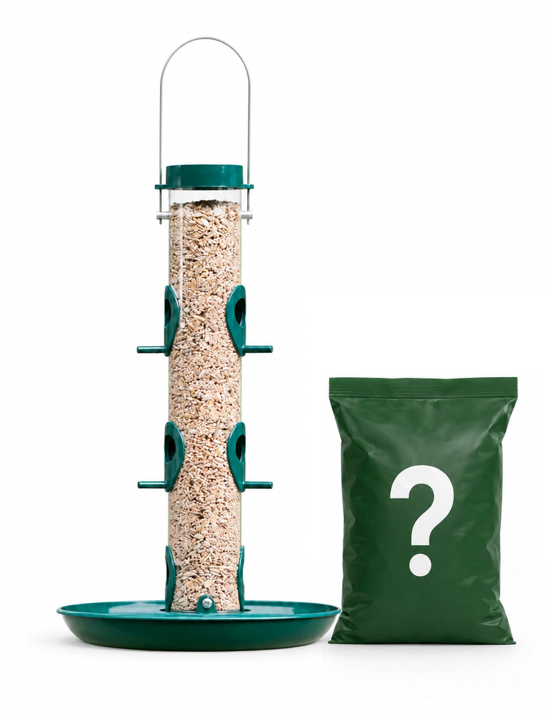 Classic Bird Feeding Bundle
