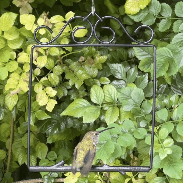 Pop's Birding Original Swing, Onyx
