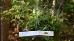Duncraft Classic Bird Safe Platform Bird Feeder, White