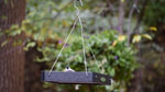 Duncraft Classic Bird Safe Platform Bird Feeder, Black