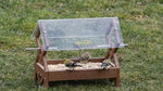 4910 Double Diamond Platform Feeder at produncrafthype.com